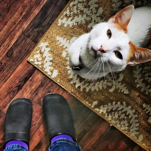 Meet your Posher, Kim - Picture 1 of 1